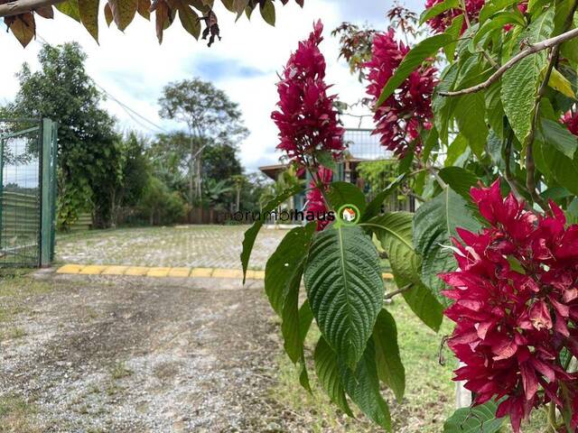 #13418 - Casa para Venda em Arujá - SP - 3