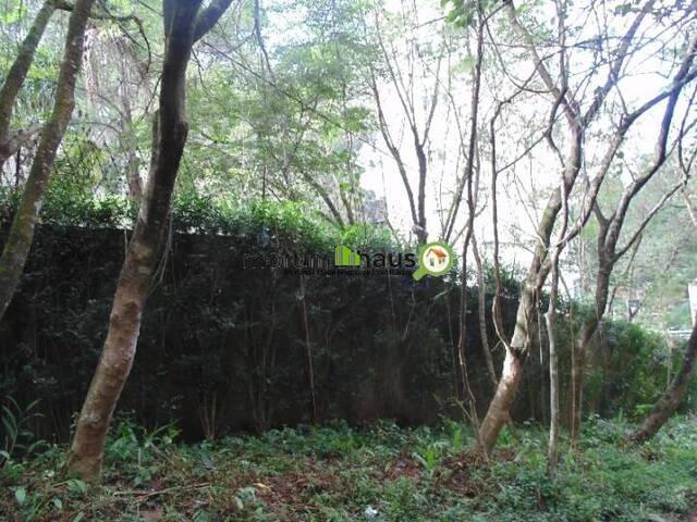 #14372 - Terreno para Venda em São Paulo - SP - 3