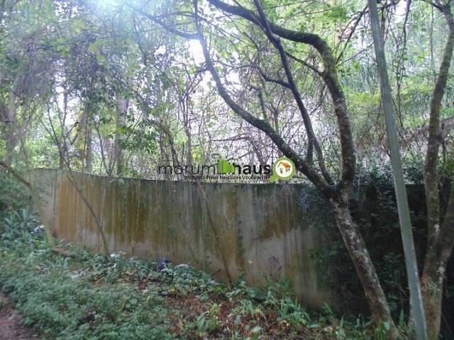 Terreno para Venda em São Paulo - 4